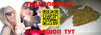 СК Краснокаменск