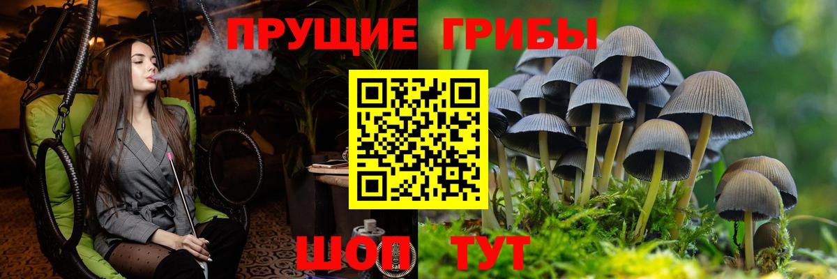 купить закладку  Вход с VPN  Донецк  Галлюциногенные грибы прущие грибы 